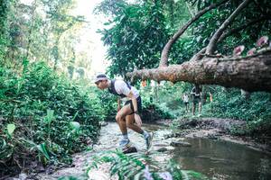 BIB: 
                            <button type="button" onclick="openModal(25430636)" class="btn btn-primary btn-sm float-right btn-popup" data-toggle="modal" data-target=".modal-high-quality">
                        <i class="fas fa-shopping-cart"></i> Add to Cart
                    </button>
                                            <button type="button" onclick="isThisMe(25430636, true)" class="btn btn-success btn-sm float-right btn-popup btn-isme hidden" data-toggle="tooltip" data-placement="bottom" title="นี่คือรูปของคุณใช่ไหม คลิกที่นี่เพื่อเอาเข้าอัลบั้ม">
                        <i class="fas fa-plus"></i> Add to album
                    </button>
                    <button type="button" onclick="isThisMe(25430636, false)" class="btn btn-warning btn-sm float-right btn-popup btn-isnotme hidden">
                        <i class="fas fa-ban"></i> Remove from album
                    </button>